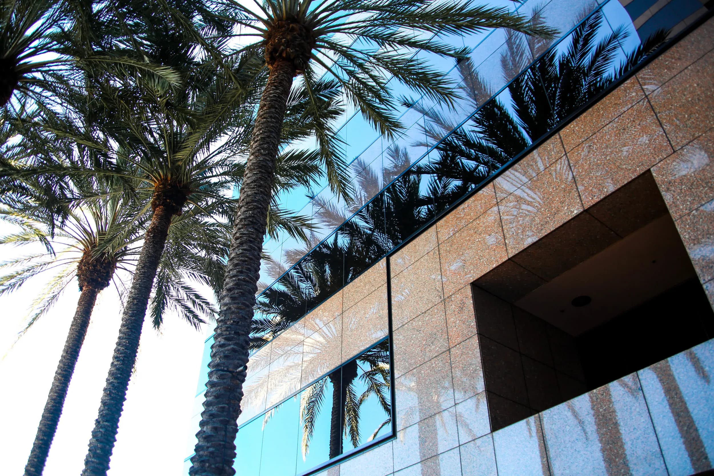 Law Office Surroundings